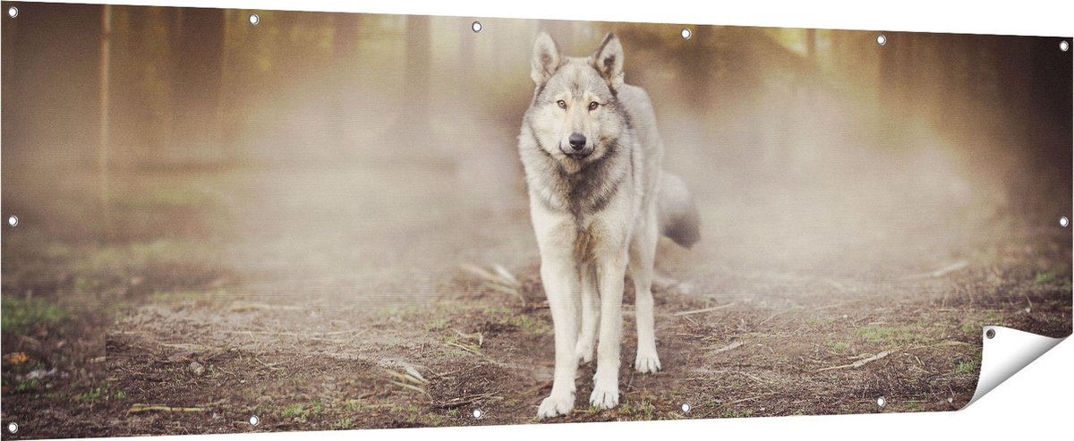 Gards Tuinposter Grijze Wolf in het Bos - 210x70 cm - Tuindoek - Tuindecoratie - Wanddecoratie buiten - Tuinschilderij Multikleur