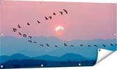 Affiche de jardin du Gards Silhouette de Volée Vogels au Coucher du Soleil - 120x60 cm - Toile de jardin - Décoration de jardin - Décoration murale extérieur - Tableau de jardin