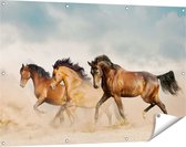 Gards Tuinposter Drie Bruine Paarden - 120x80 cm - Tuindoek - Tuindecoratie - Wanddecoratie buiten - Tuinschilderij