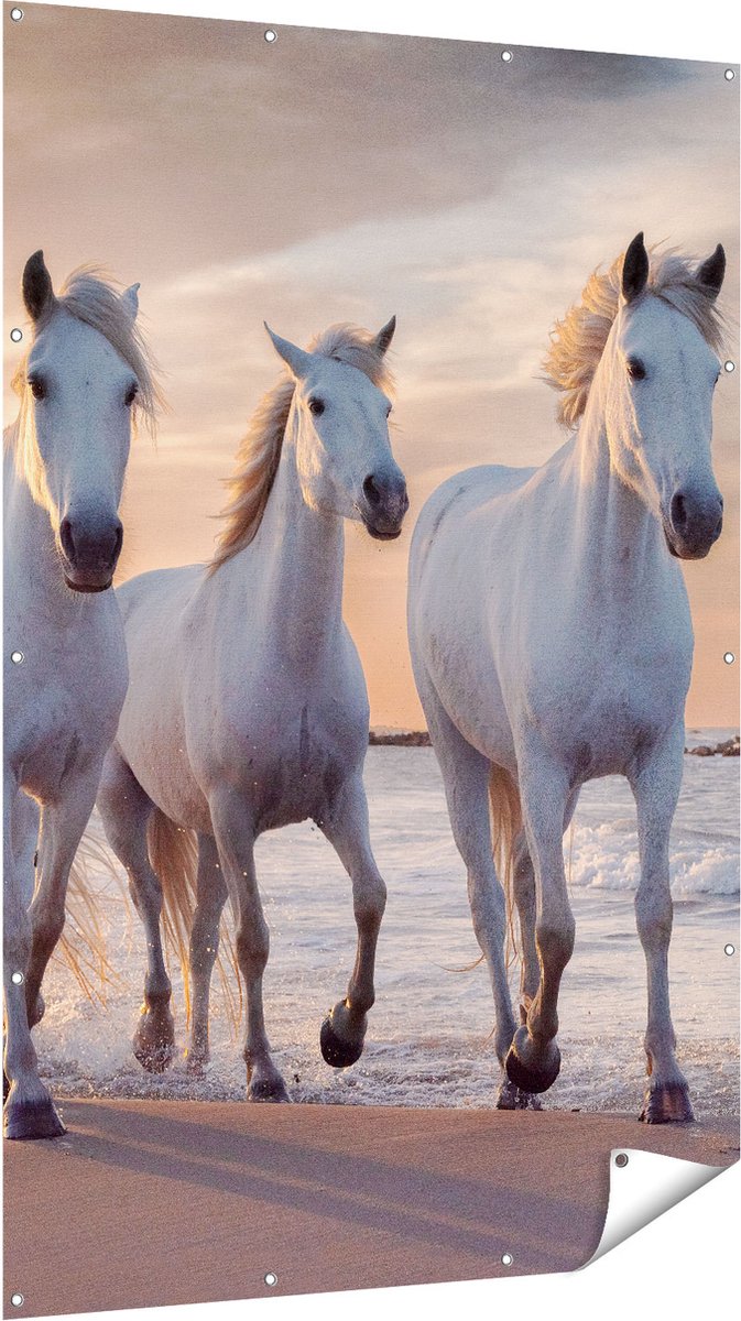 Gards Tuinposter Witte Paarden op het Strand bij Water - 120x180 cm - Tuindoek - Tuindecoratie - Wanddecoratie buiten - Tuinschilderij Multikleur
