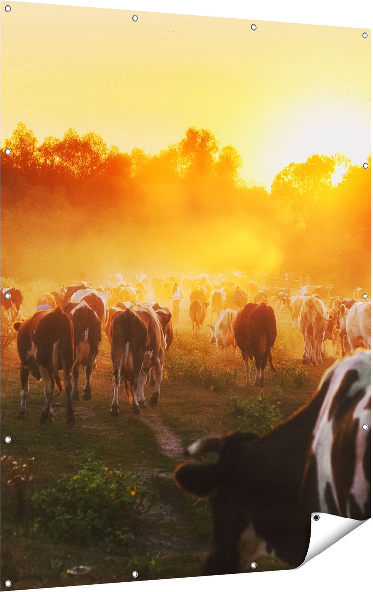 Gards Tuinposter Kudde Koeien in Weiland bij Zonsondergang - 120x160 cm - Tuindoek - Tuindecoratie - Wanddecoratie buiten - Tuinschilderij Multikleur