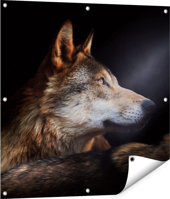 Gards Tuinposter Wolvenkop Met Een Zonnestraal Wolf 80x80 Cm gards-tuinposter-wolvenkop-met-een-zonnestraal-wolf-80x80-cm