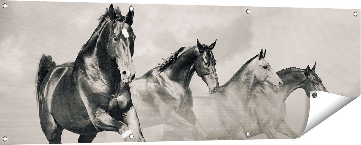 Gards Tuinposter Vier Paarden naast Elkaar - Zwart Wit - 150x50 cm - Tuindoek - Tuindecoratie - Wanddecoratie buiten - Tuinschilderij Multikleur