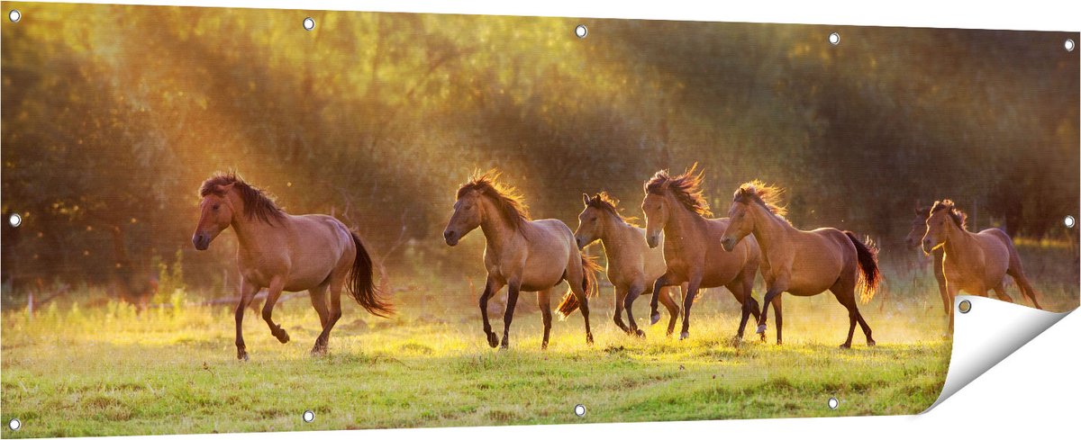 Gards Tuinposter Kudde Bruine Paarden in de Wei - 180x60 cm - Tuindoek - Tuindecoratie - Wanddecoratie buiten - Tuinschilderij Multikleur