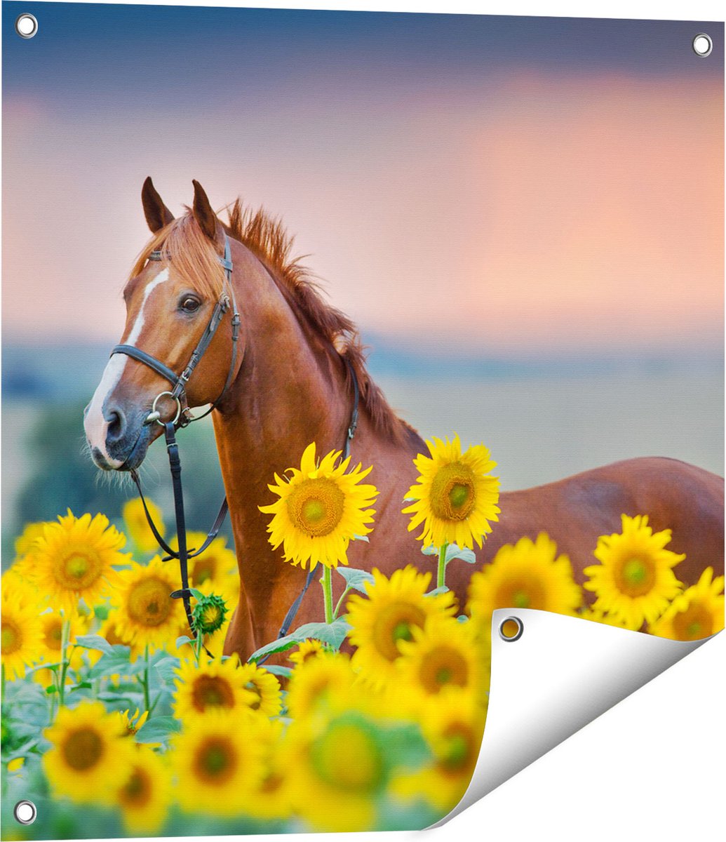 Gards Tuinposter Bruin Paard tussen de Zonnebloemen - 60x60 cm - Tuindoek - Tuindecoratie - Wanddecoratie buiten - Tuinschilderij Multikleur