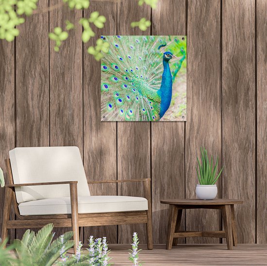 Gards Tuinposter Pauw met Kleurrijke Veren - 50x50 cm - Tuindoek - Tuindecoratie - Wanddecoratie buiten - Tuinschilderij