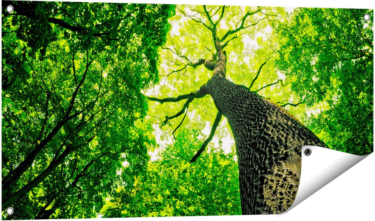 Gards Tuinposter Boom in het Bos met Fel Groene Bladeren - 100x50 cm - Tuindoek - Tuindecoratie - Wanddecoratie buiten - Tuinschilderij Multikleur