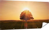 Gards Tuinposter Zonsondergang Achter een Grote Boom - 160x80 cm - Tuindoek - Tuindecoratie - Wanddecoratie buiten - Tuinschilderij