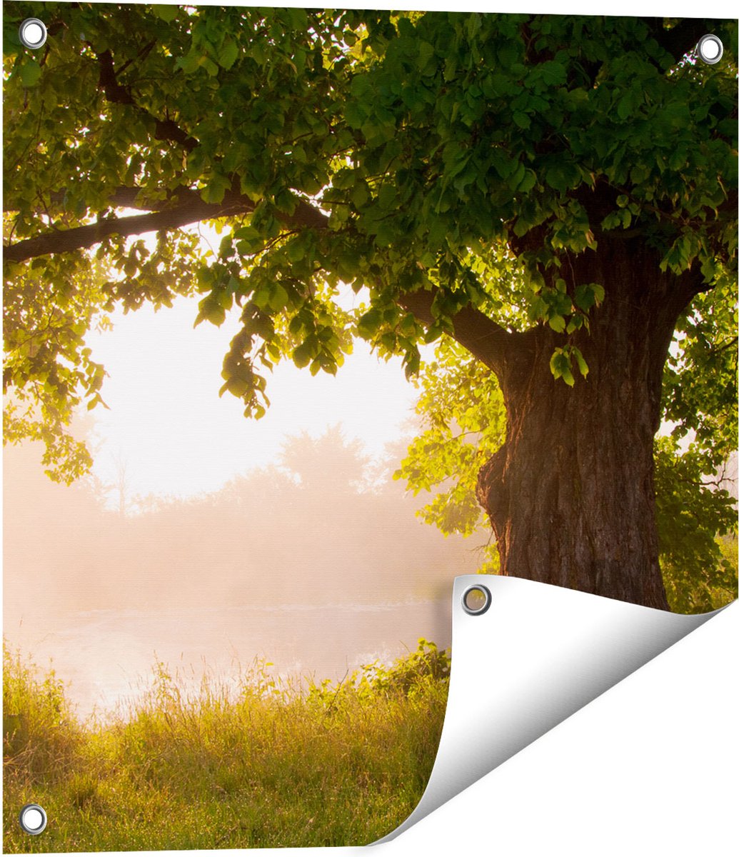 Gards Tuinposter Eikenboom aan het Water met Volle Bladeren - 50x50 cm - Tuindoek - Tuindecoratie - Wanddecoratie buiten - Tuinschilderij Multikleur