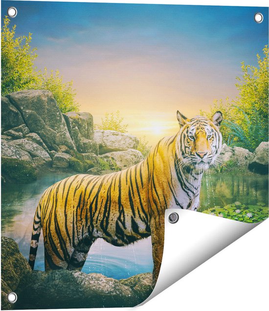 Gards Tuinposter Luipaard in een Vijver bij Zonsondergang - 50x50 cm - Tuindoek - Tuindecoratie - Wanddecoratie buiten - Tuinschilderij