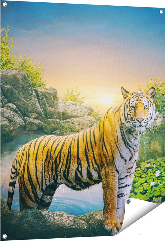 Gards Tuinposter Luipaard in een Vijver bij Zonsondergang - 80x100 cm - Tuindoek - Tuindecoratie - Wanddecoratie buiten - Tuinschilderij