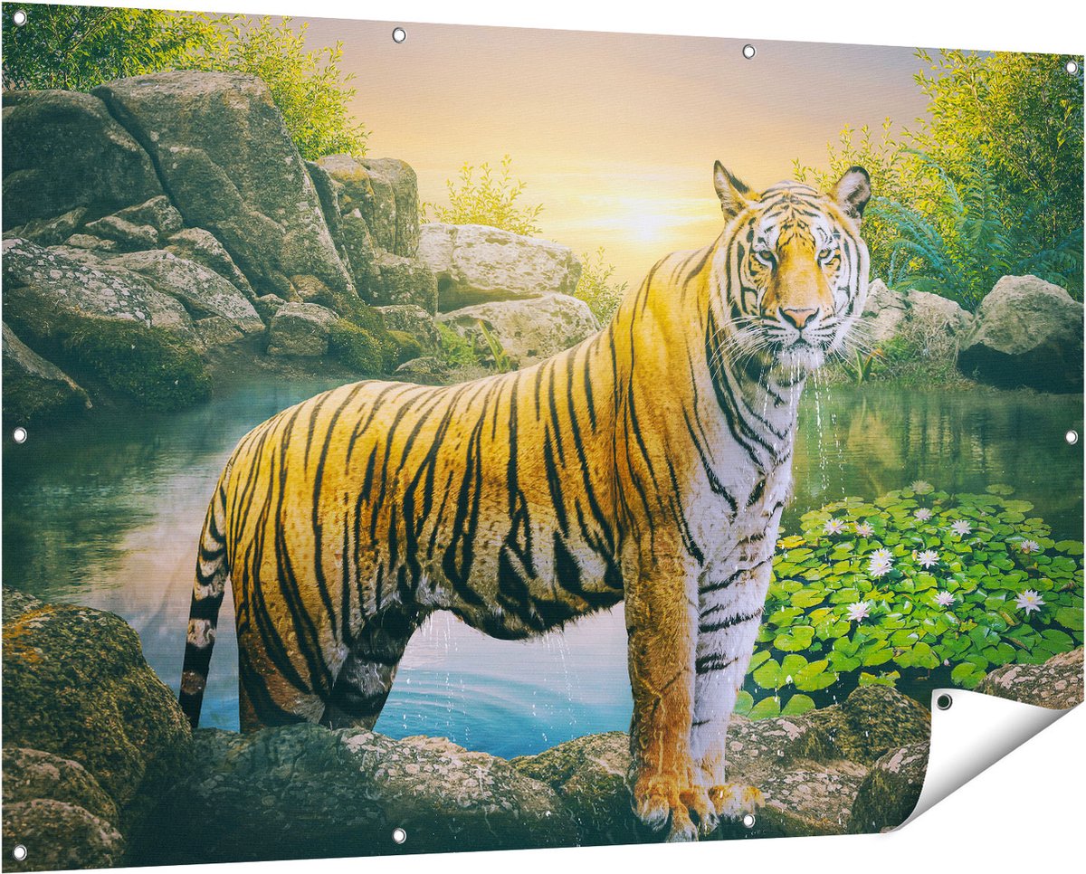 Gards Tuinposter Luipaard in een Vijver bij Zonsondergang - 150x100 cm - Tuindoek - Tuindecoratie - Wanddecoratie buiten - Tuinschilderij Multikleur