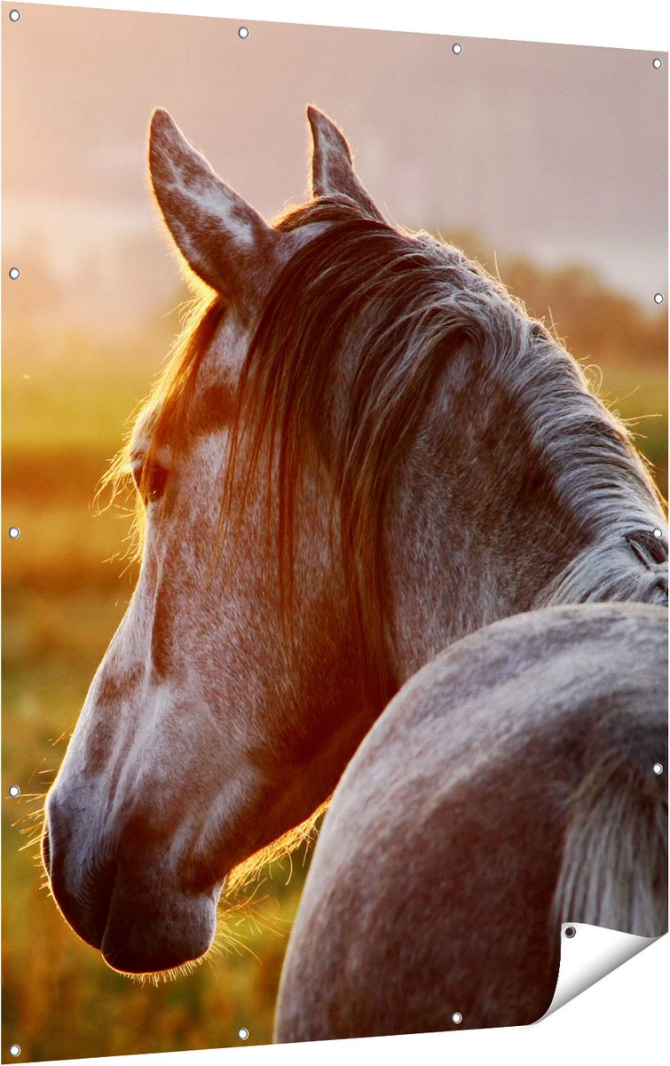 Gards Tuinposter Paard in de Weide tijdens Zonsondergang - 120x160 cm - Tuindoek - Tuindecoratie - Wanddecoratie buiten - Tuinschilderij Multikleur