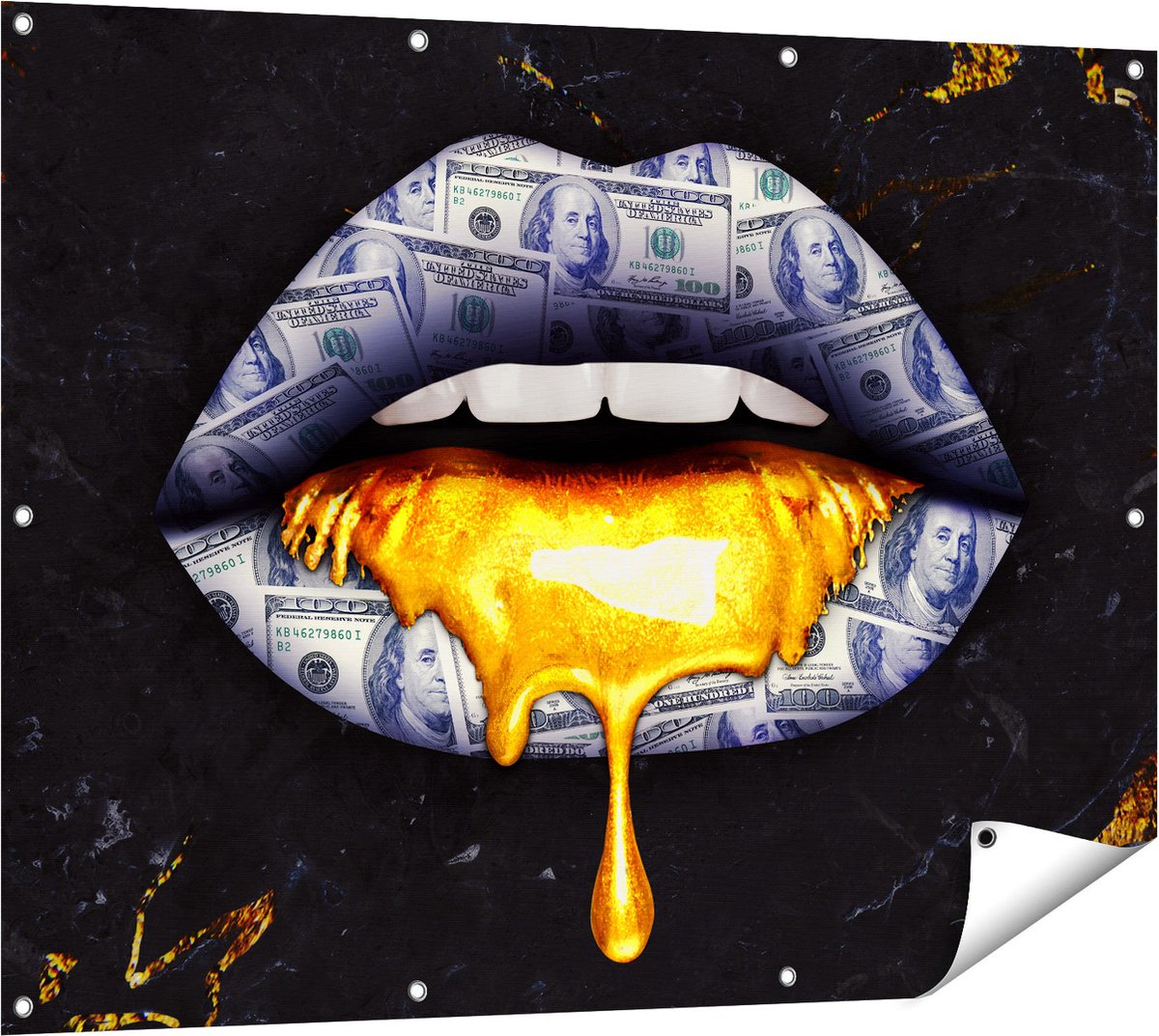 Gards Tuinposter Dollar Lippen met Goud - 120x90 cm - Tuindoek - Tuindecoratie - Wanddecoratie buiten - Tuinschilderij Multikleur