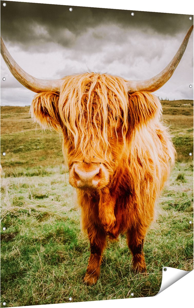 Gards Tuinposter Schotse Hooglanders in de Wei - Kleur - 120x160 cm - Tuindoek - Tuindecoratie - Wanddecoratie buiten - Tuinschilderij Multikleur