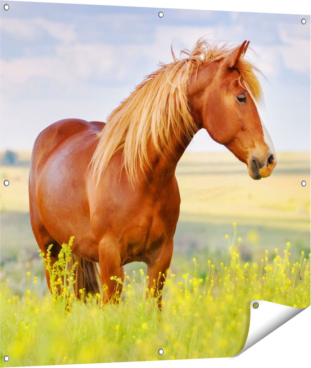 Gards Tuinposter Bruin Paard in de Wei - 100x100 cm - Tuindoek - Tuindecoratie - Wanddecoratie buiten - Tuinschilderij Multikleur