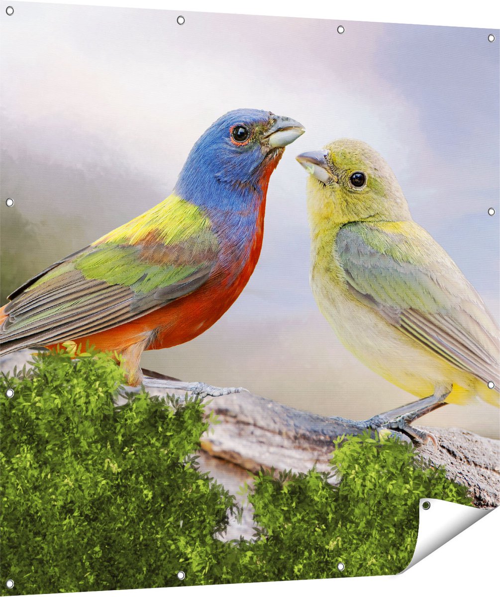 Gards Tuinposter Getekende Gorzen Vogels - Kleur - Abstract - 120x120 cm - Tuindoek - Tuindecoratie - Wanddecoratie buiten - Tuinschilderij Multikleur