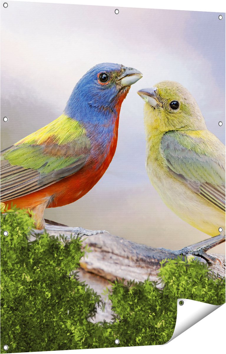 Gards Tuinposter Getekende Gorzen Vogels - Kleur - Abstract - 90x120 cm - Tuindoek - Tuindecoratie - Wanddecoratie buiten - Tuinschilderij Multikleur
