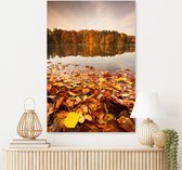 Plexiglas Schilderij Autumn Lake