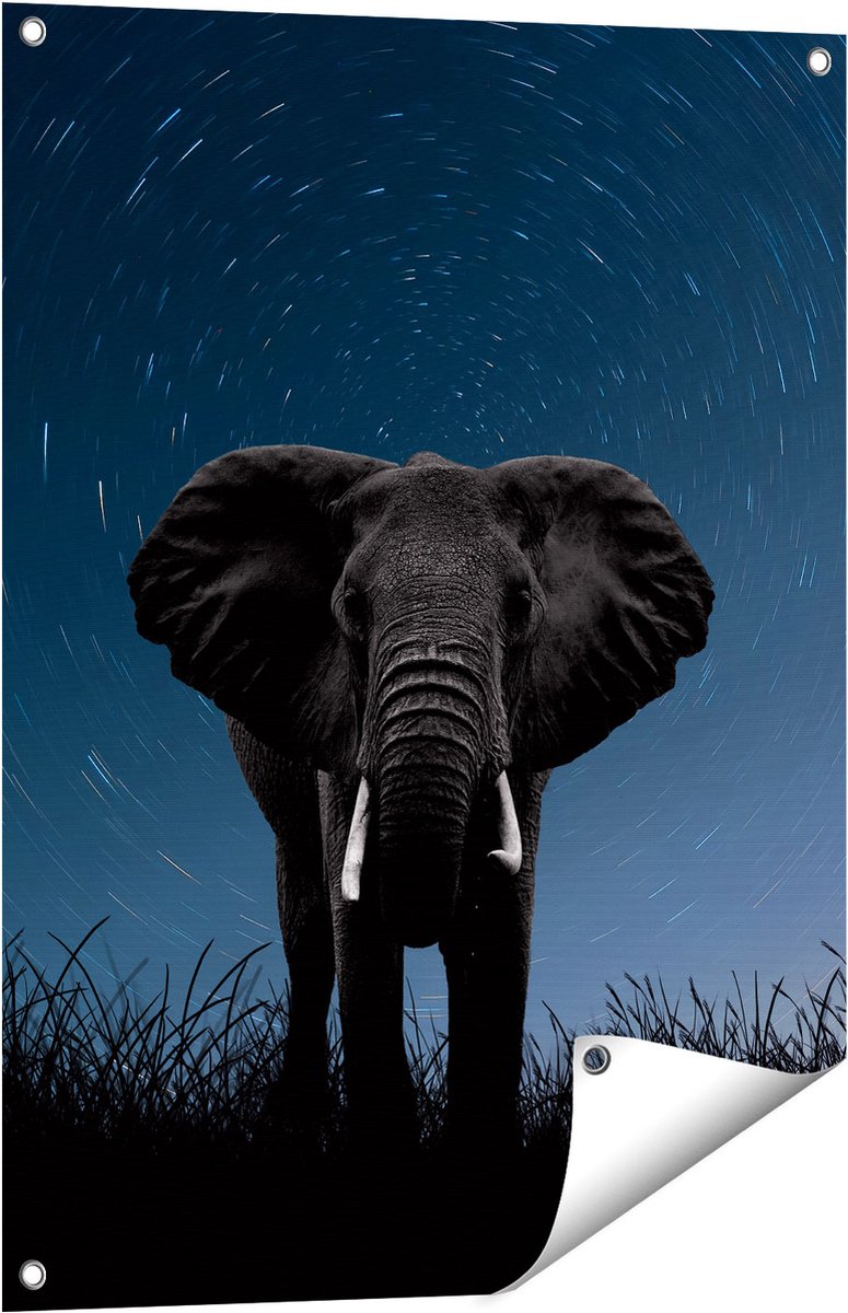 Gards Tuinposter Olifant Omringd met Sterren - 60x80 cm - Tuindoek - Tuindecoratie - Wanddecoratie buiten - Tuinschilderij Multikleur