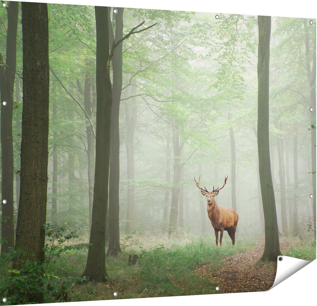 Gards Tuinposter Hert in Bos - 150x120 cm - Tuindoek - Tuindecoratie - Wanddecoratie buiten - Tuinschilderij Multikleur