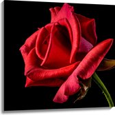 Canvas - Rode Roos op Zwarte Achtergrond - 100x100 cm Foto op Canvas Schilderij (Wanddecoratie op Canvas)