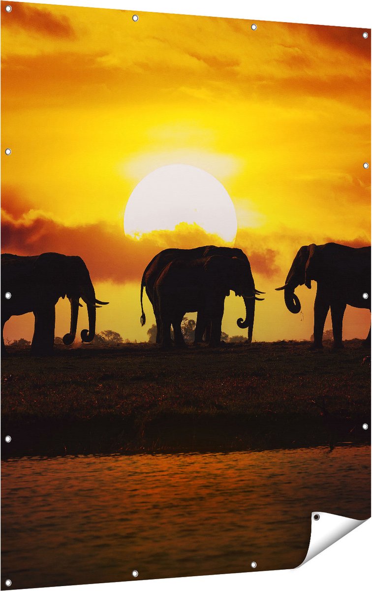 Gards Tuinposter Silhouet Olifanten tijdens Zonsondergang - 120x160 cm - Tuindoek - Tuindecoratie - Wanddecoratie buiten - Tuinschilderij Multikleur