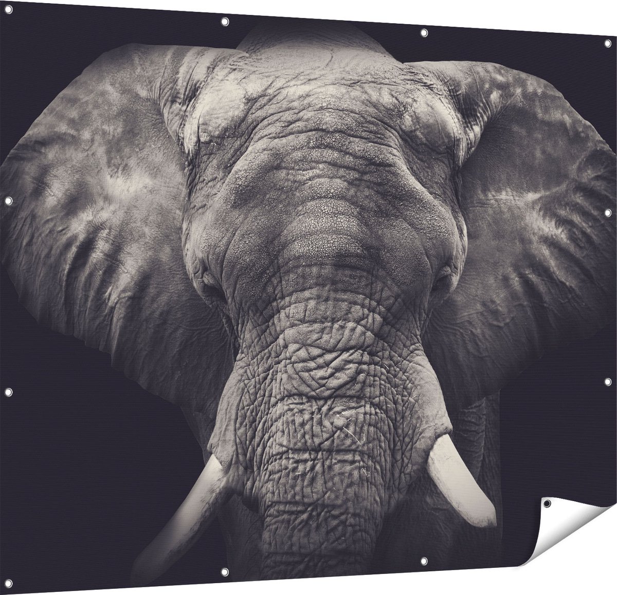 Gards Tuinposter Olifantenkop - Olifant - Zwart Wit - 150x120 cm - Tuindoek - Tuindecoratie - Wanddecoratie buiten - Tuinschilderij Multikleur