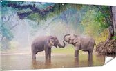 Gards Tuinposter Twee Olifanten in het Water - 200x100 cm - Tuindoek - Tuindecoratie - Wanddecoratie buiten - Tuinschilderij