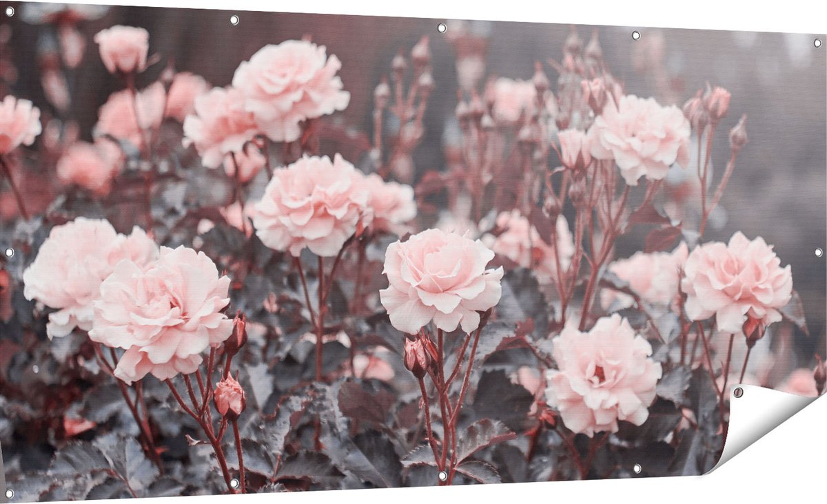Gards Tuinposter Roze Rozen Bloemen - 180x90 cm - Tuindoek - Tuindecoratie - Wanddecoratie buiten - Tuinschilderij Multikleur