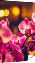 Gards Tuinposter Roze Orchidee Bloemen - 100x150 cm - Tuindoek - Tuindecoratie - Wanddecoratie buiten - Tuinschilderij