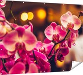 Gards Tuinposter Roze Orchidee Bloemen - 160x120 cm - Tuindoek - Tuindecoratie - Wanddecoratie buiten - Tuinschilderij