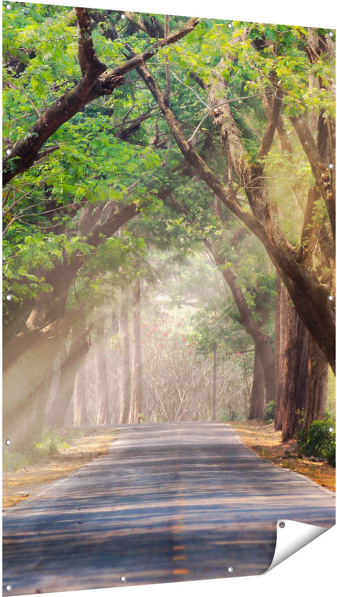 Gards Tuinposter Weg Omringd met Bomen - 120x180 cm - Tuindoek - Tuindecoratie - Wanddecoratie buiten - Tuinschilderij Multikleur