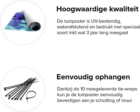 Affiche de jardin Gards Fleurs Lilas Bleus - Lilas - 40x40 cm - Toile de jardin - Décoration de jardin - Décoration murale extérieure - Tableau de jardin