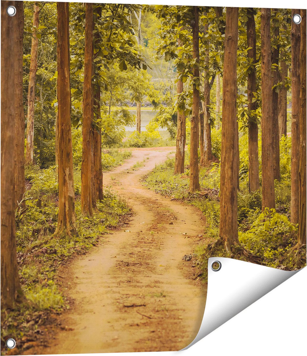 Gards Tuinposter Pad in het Bos met Bomen - 60x60 cm - Tuindoek - Tuindecoratie - Wanddecoratie buiten - Tuinschilderij Multikleur