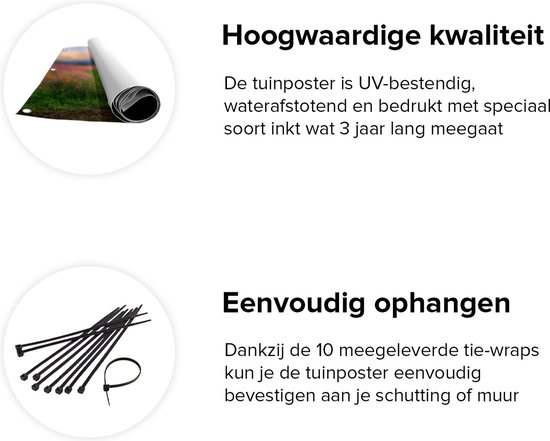 Gards Poster de jardin Kosmos Champ de fleurs avec allée - Fleurs - 100x80 cm - Toile de jardin - Décoration de jardin - Décoration murale extérieure - Peinture de jardin