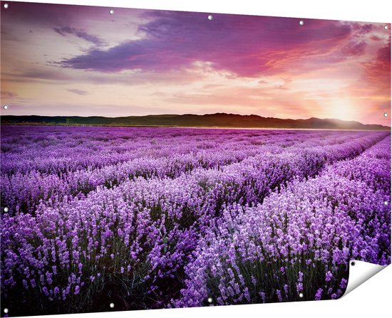 Gards Affiche de jardin Champ de fleurs avec Lavande violette - Fleurs - 180x120 cm - Toile jardin - Décoration de jardin - Décoration murale extérieur - Tableau jardin