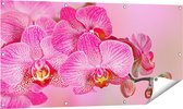 Gards Tuinposter Roze Orchidee Bloemen - 120x60 cm - Tuindoek - Tuindecoratie - Wanddecoratie buiten - Tuinschilderij