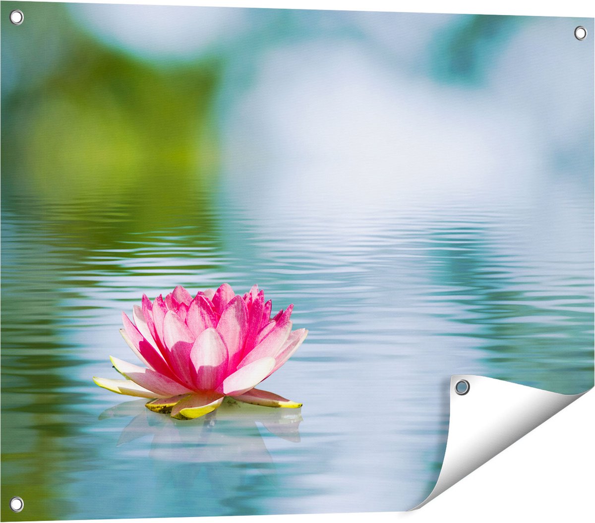 Gards Tuinposter Roze Lotusbloem op het Water - 80x60 cm - Tuindoek - Tuindecoratie - Wanddecoratie buiten - Tuinschilderij Multikleur