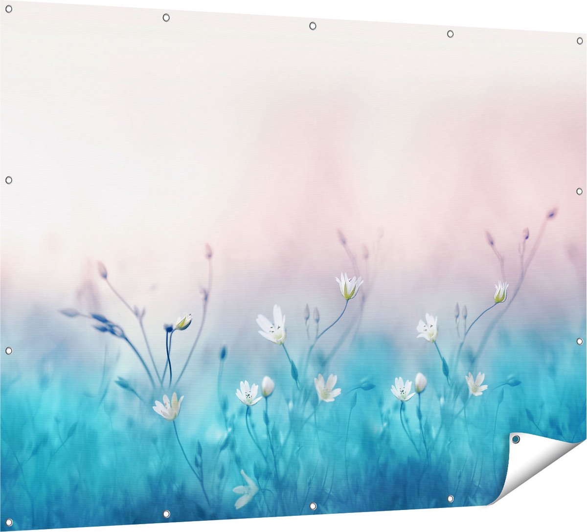 Gards Tuinposter Witte Bloemen op een Blauw Achtergrond - 160x120 cm - Tuindoek - Tuindecoratie - Wanddecoratie buiten - Tuinschilderij Multikleur