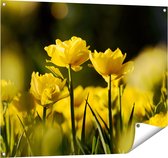 Gards Tuinposter Gele Tulpen - Bloemen - 100x80 cm - Tuindoek - Tuindecoratie - Wanddecoratie buiten - Tuinschilderij