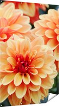 Gards Tuinposter Oranje Dahlia Bloemen - 120x180 cm - Tuindoek - Tuindecoratie - Wanddecoratie buiten - Tuinschilderij