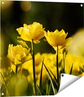 Gards Tuinposter Gele Tulpen - Bloemen - 70x70 cm - Tuindoek - Tuindecoratie - Wanddecoratie buiten - Tuinschilderij