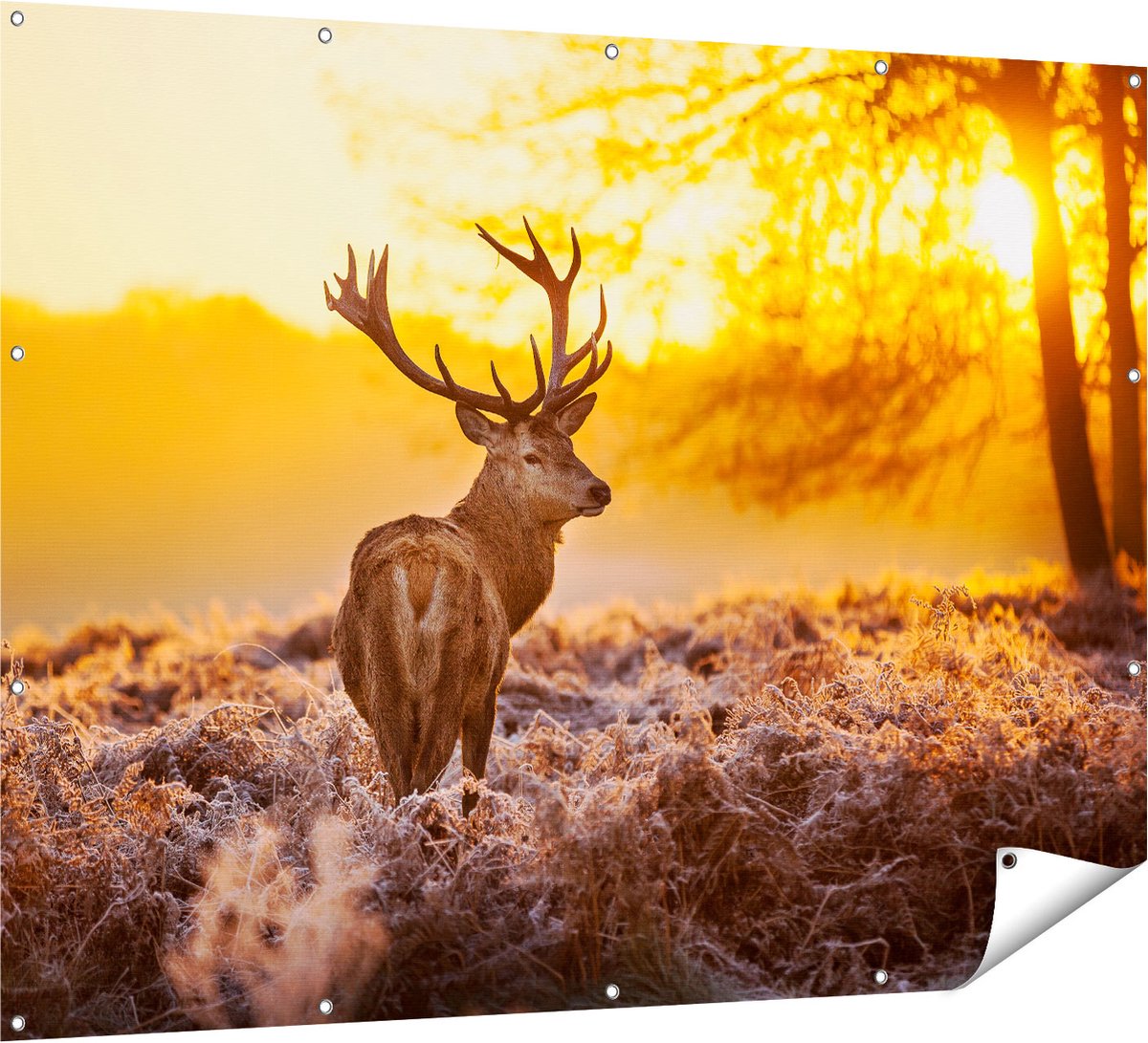 Gards Tuinposter Hert in Bos tijdens de Zonsopkomst - 160x120 cm - Tuindoek - Tuindecoratie - Wanddecoratie buiten - Tuinschilderij Multikleur
