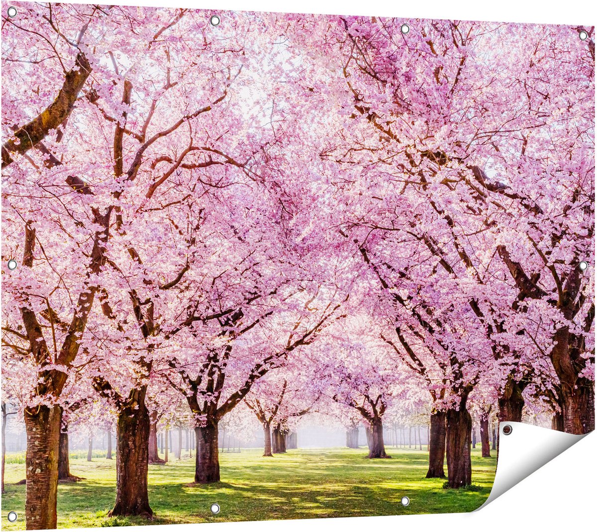Gards Tuinposter Roze Bloesembomen Park - Bloemen - 120x90 cm - Tuindoek - Tuindecoratie - Wanddecoratie buiten - Tuinschilderij Multikleur
