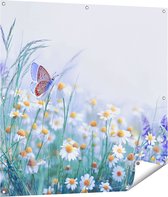 Gards Tuinposter Witte Kamille Bloemen met een Vlinder - 100x100 cm - Tuindoek - Tuindecoratie - Wanddecoratie buiten - Tuinschilderij