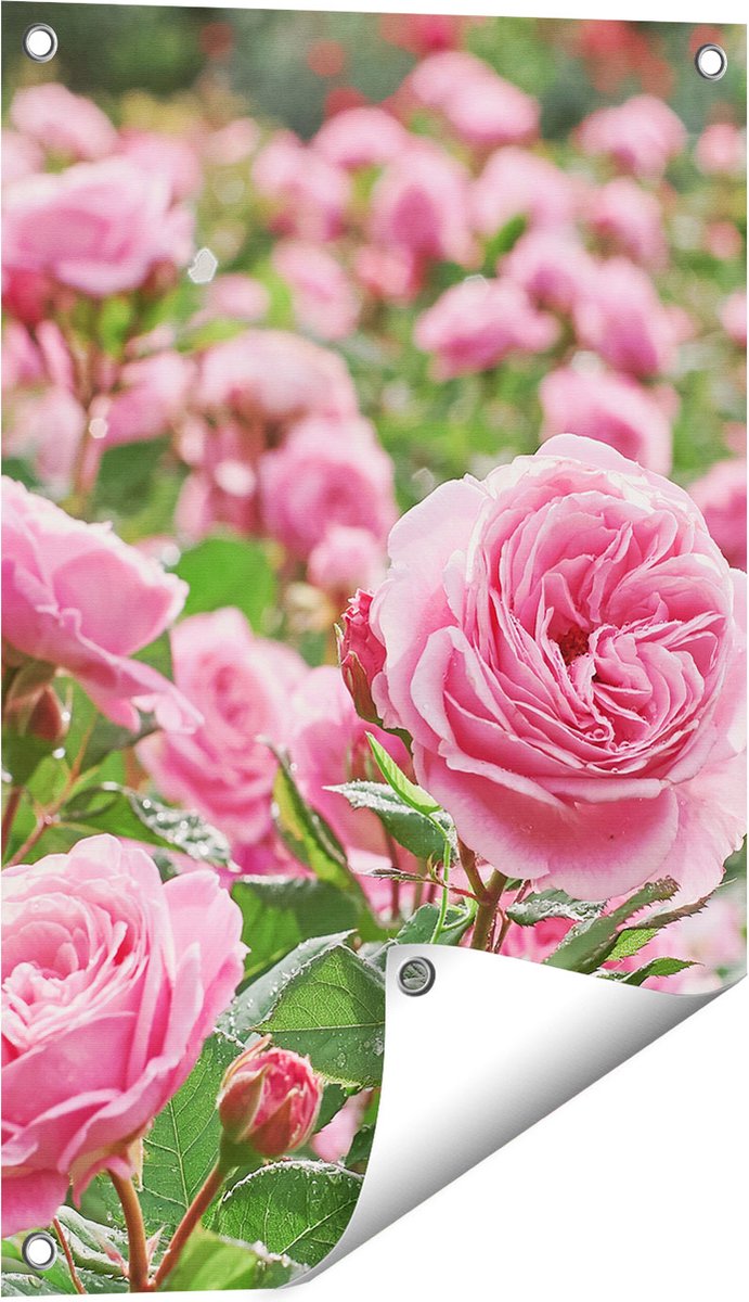 Gards Tuinposter Roze Rozen Bloemenveld - 40x60 cm - Tuindoek - Tuindecoratie - Wanddecoratie buiten - Tuinschilderij Multikleur