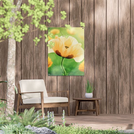 Gards Affiche de jardin Fleurs de Pavot Oranje - 60x80 cm - Toile jardin - Décoration de jardin - Décoration murale extérieur - Tableau jardin