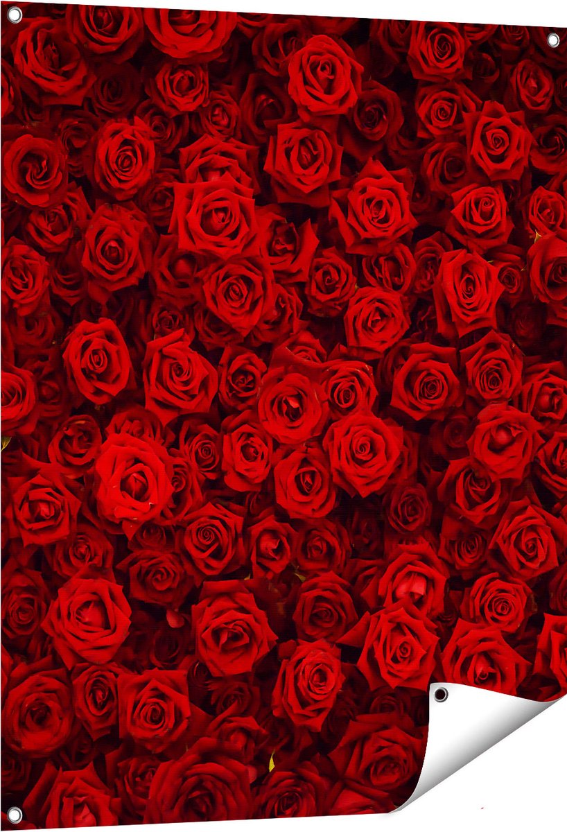 Gards Tuinposter Rode Rozen Achtergrond - 80x100 cm - Tuindoek - Tuindecoratie - Wanddecoratie buiten - Tuinschilderij Multikleur