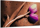 Peinture sur toile Tulipe | Violet, marron, blanc | 120x70cm 1Hatch